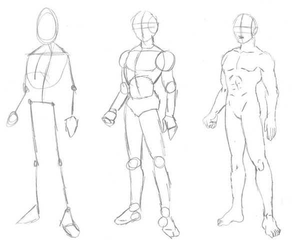 Анатомия тела для рисования