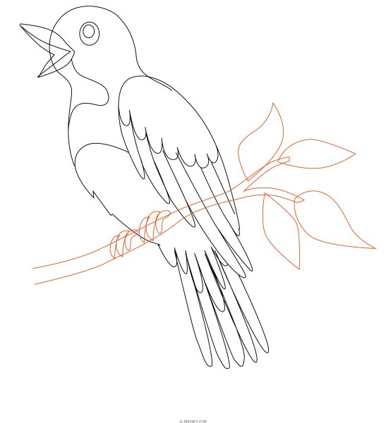 Жаворонок рисунок карандашом