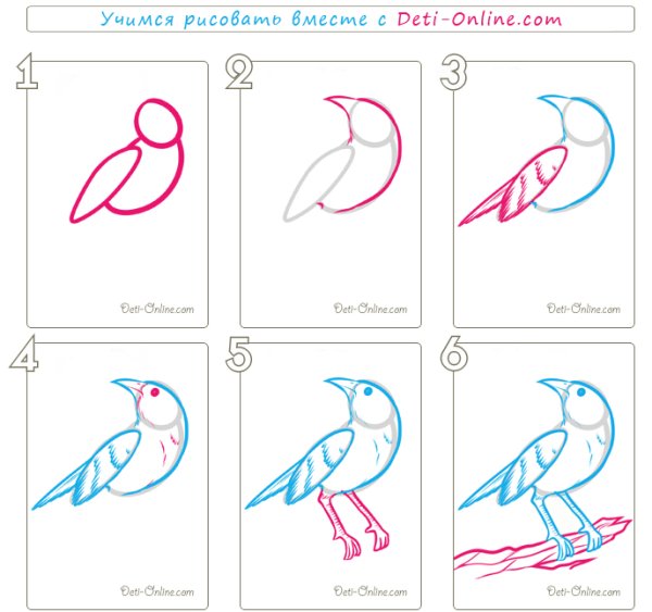 Поэтапное рисование соловья