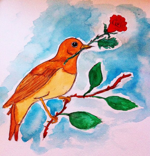 Соловей пошагово рисунок