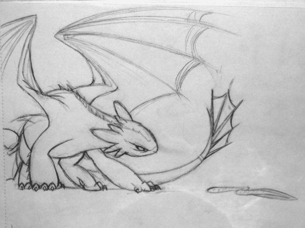 Ночная фурия дракон карандашом