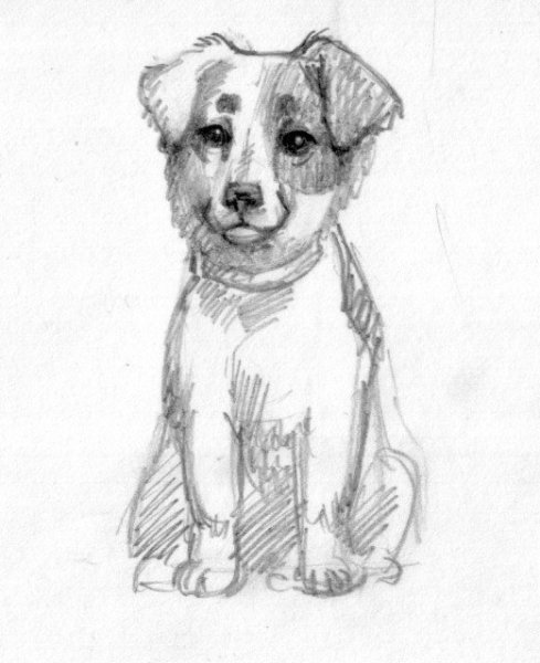 Иллюстрация к произведению Муму Тургенева