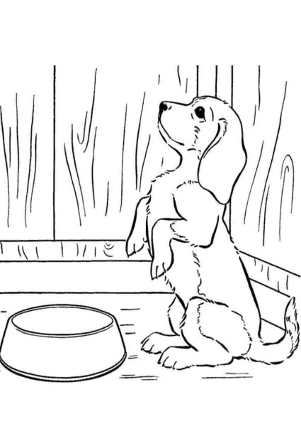 Иллюстрации к рассказу Муму Тургенева