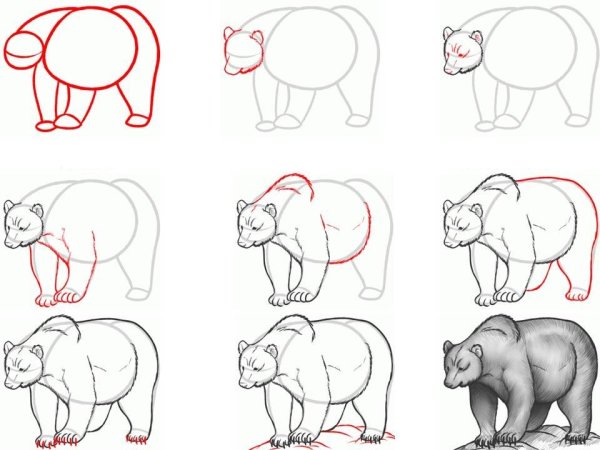 Медведь-дармоед Сладков