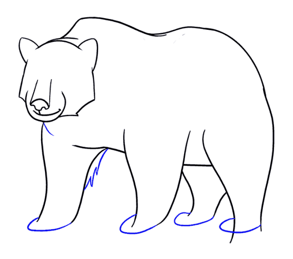 Белый медведь рисование с детьми