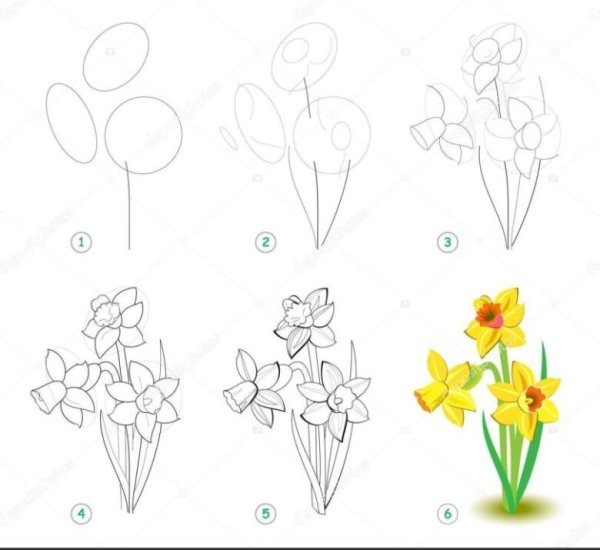 Цветы рисунок