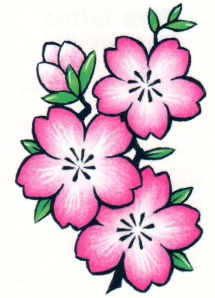 Цветы для срисовки легко