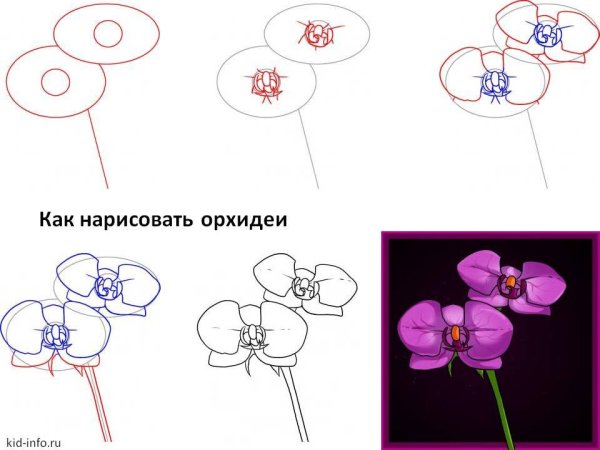 Цветы для рисования