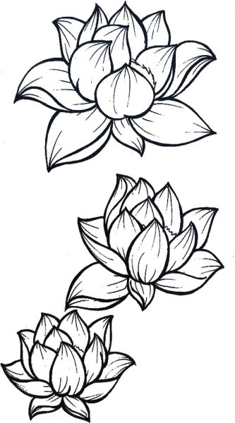 Поэтапное рисование цветов