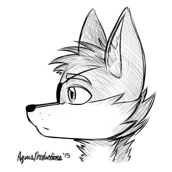 Фокси для срисовки аниме