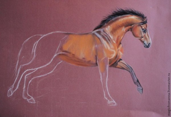 Лошадь пастелью сухой