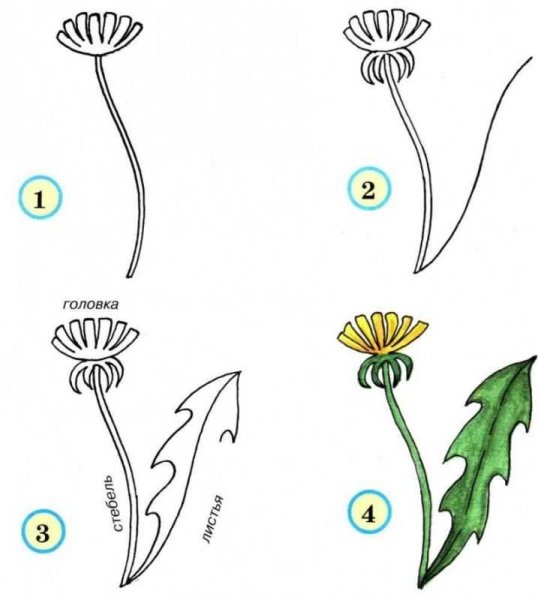 Схемы рисования цветов