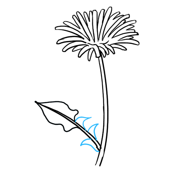 Ромашка рисунок поэтапно