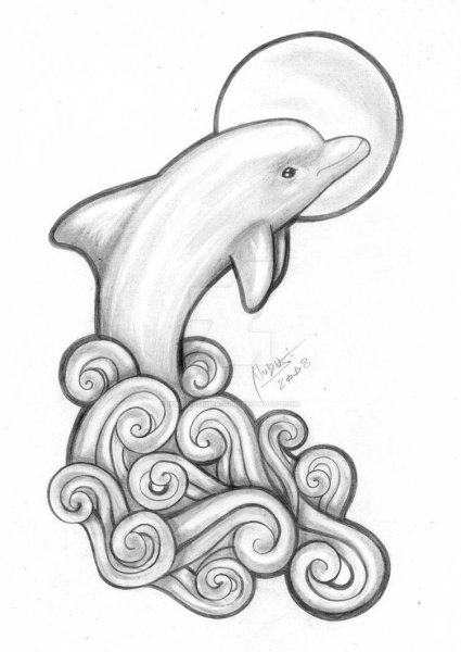 Раскраска морские обитатели