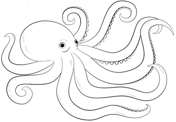 Морские картинки для срисовки