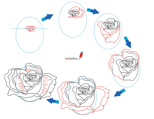 Роза рисунок детский лёгкий
