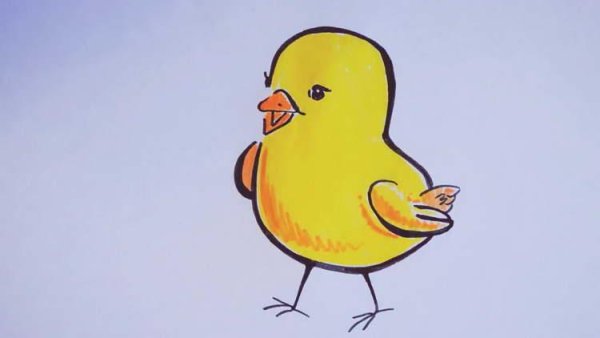 Цыпленок для срисовки