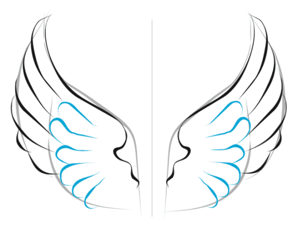 Крылья для срисовки карандашом