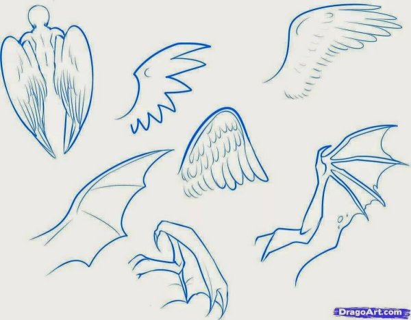 Крылья ангела референс