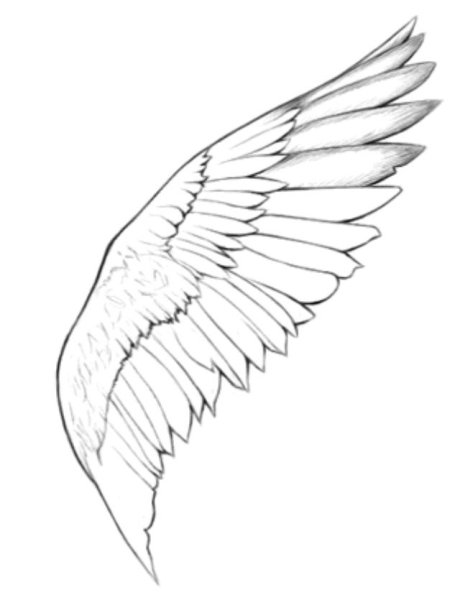 Красивые Крылья для срисовки