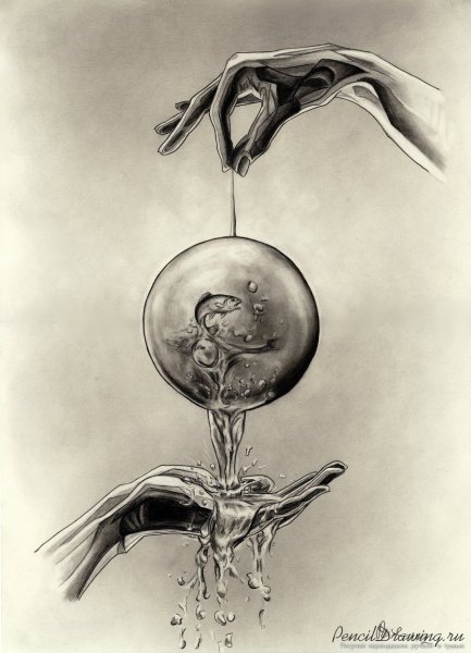 Крис бузели