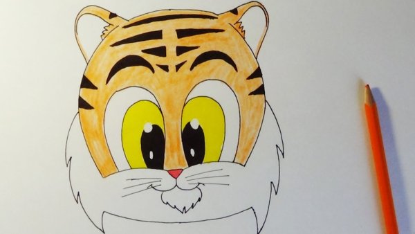 Тигрёнок рисунок очень лёгкий