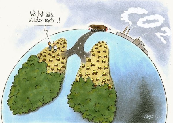 Леса легкие нашей планеты