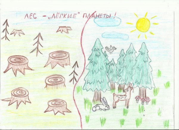 Рисунок лес легкие планеты