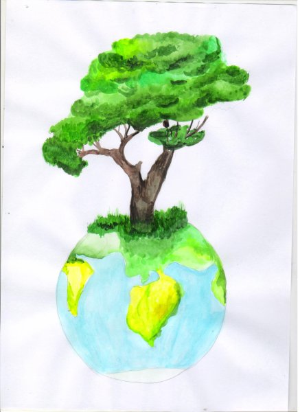 Здоровые легкие планеты