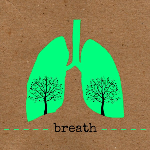 Легкие в виде дерева