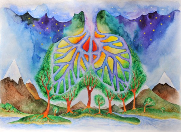 Леса легкие нашей планеты