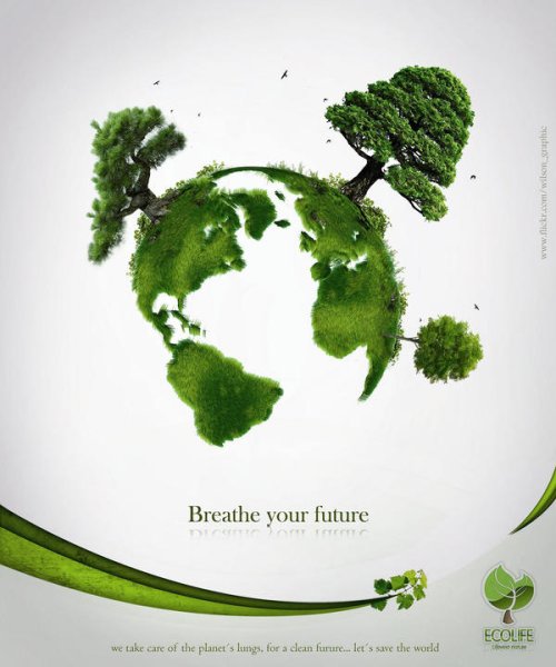 Легкие в виде дерева