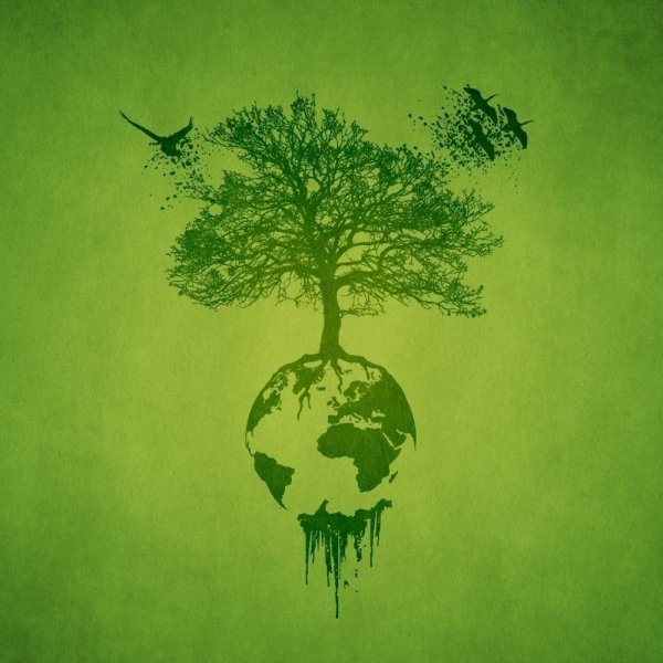 Легкие нашей планеты