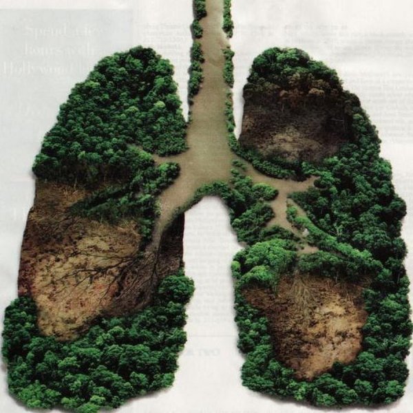 Мир природы глазами детей