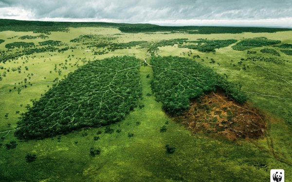 Символ экологии