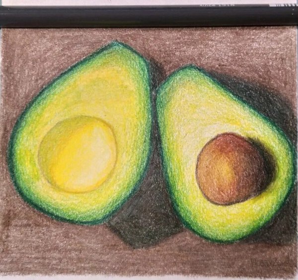 Авокадо цветными карандашами