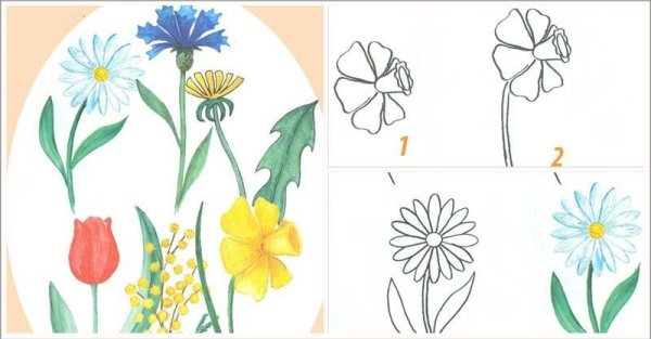 Цветок одной линией