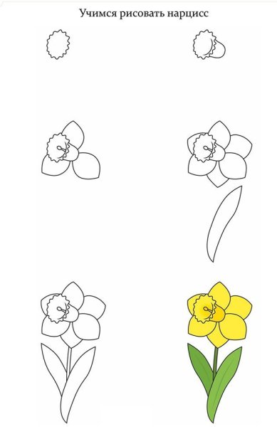 Поэтапное рисование цветов