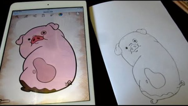 Пухля раскраска