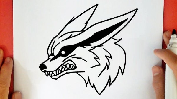 Курама рисунок для срисовки