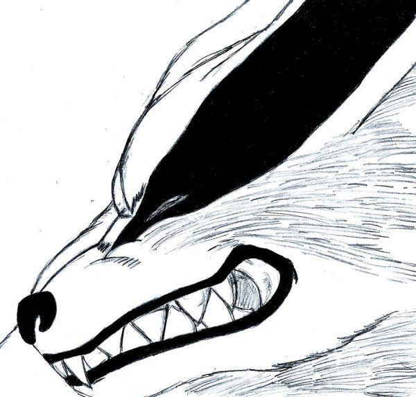 Курама карандашом