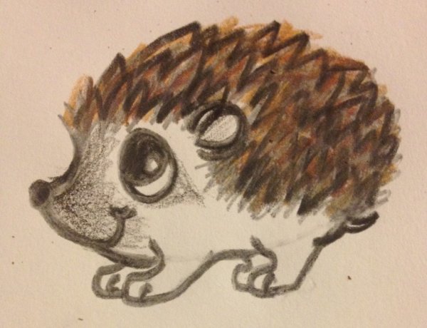 Еж рисунок карандашом