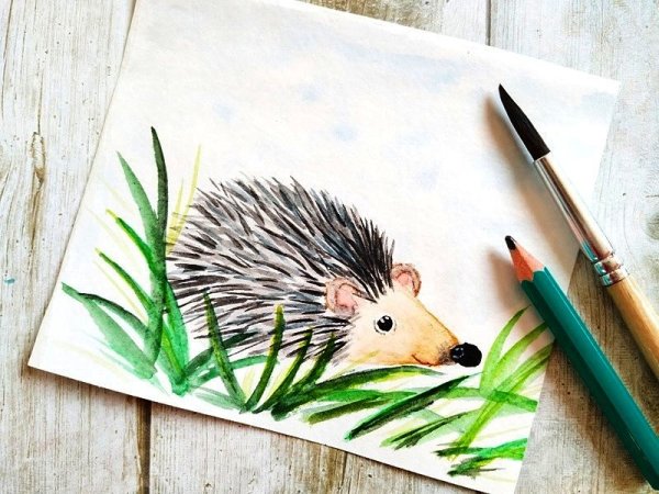 Поэтапное рисование ежа