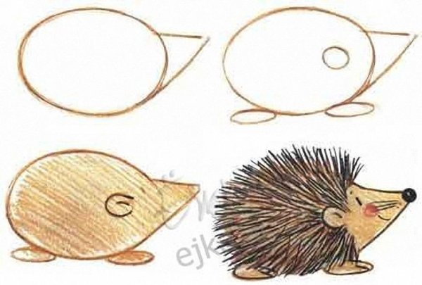 Рисунки Ёжика для срисовки