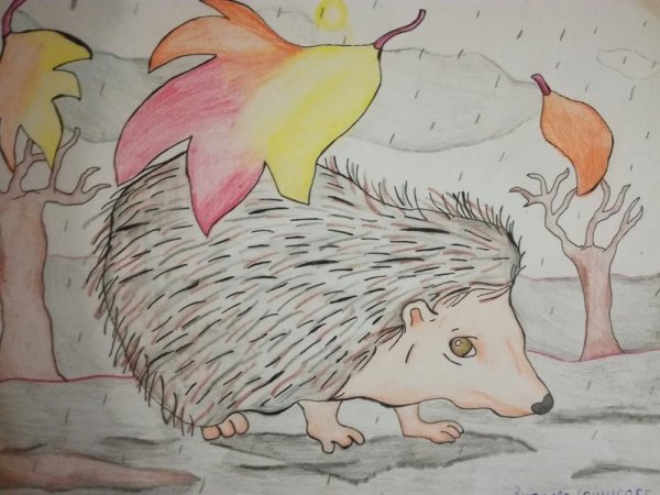 Рисование штрихом Ежик