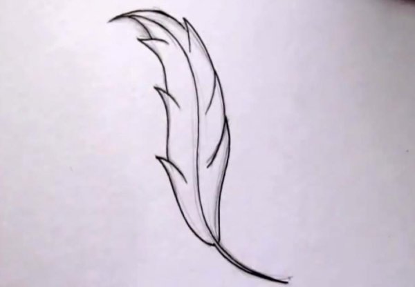 Рисунки на др