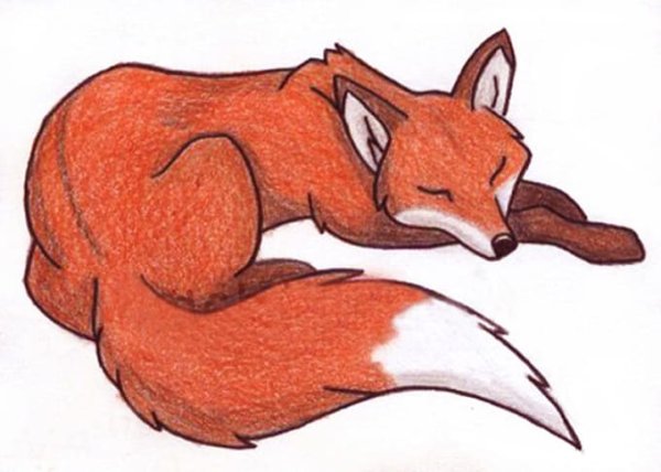 Картинки Лис для срисовки