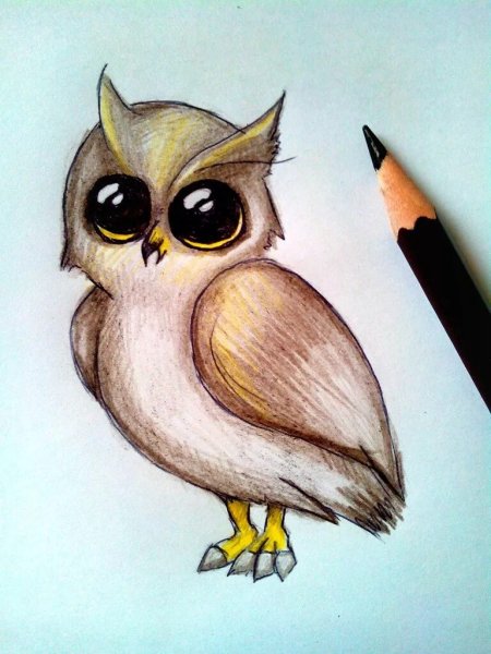 Яркие идеи для рисования