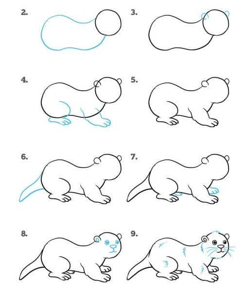 Хорек рисунок карандашом