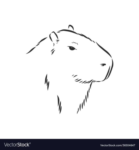 Капибара вектор